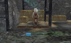 Tame your horse,pony & donkey Screenshot APK 12