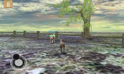 Tame your horse,pony & donkey screenshot APK 11