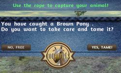 Tame your horse,pony & donkey Screenshot APK 10