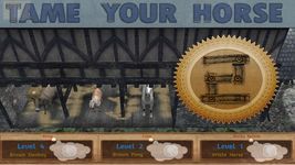 Captură de ecran Tame your horse,pony & donkey apk 8