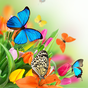 Farfalla Sfondo Animato