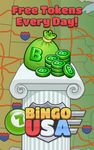 Bingo USA - Free Bingo Game image 13