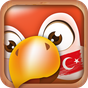 Learn Turkish Phrases | Turkish Translator icon