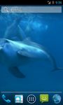 Captura de tela do apk Amazing Dolphins HD 