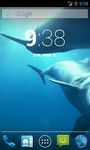 Captura de tela do apk Amazing Dolphins HD 1