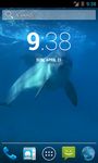 Captura de tela do apk Amazing Dolphins HD 2