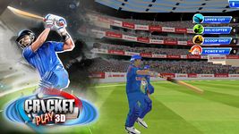Cricket Play 3D: Live The Game image 4