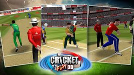 Cricket Play 3D: Live The Game image 2