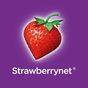 Strawberrynet Compra de Beleza