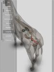 3D Horse Anatomy Software ekran görüntüsü APK 11