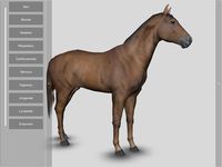 Скриншот 6 APK-версии 3D Horse Anatomy Software