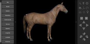 3D Horse Anatomy Software captura de pantalla apk 23