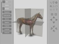 3D Horse Anatomy Software ekran görüntüsü APK 3