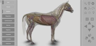 3D Horse Anatomy Software captura de pantalla apk 22