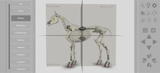 3D Horse Anatomy Software captura de pantalla apk 20