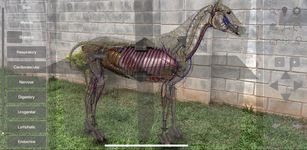 3D Horse Anatomy Software의 스크린샷 apk 18