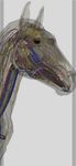 3D Horse Anatomy Software captura de pantalla apk 17