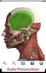 Visual Anatomy Free のスクリーンショットapk 11