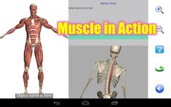 Visual Anatomy Free zrzut z ekranu apk 8