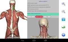 Visual Anatomy Free zrzut z ekranu apk 6