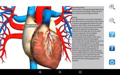 Visual Anatomy Free のスクリーンショットapk 5