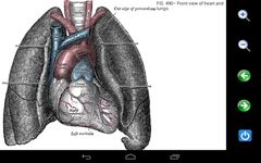 ภาพหน้าจอที่ 2 ของ Visual Anatomy Free