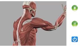 Visual Anatomy Free zrzut z ekranu apk 1