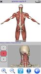 Visual Anatomy Free ekran görüntüsü APK 22