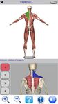 Visual Anatomy Free zrzut z ekranu apk 21