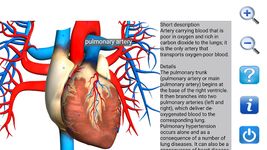 Visual Anatomy Free Screenshot APK 17