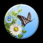 Schmetterling APK Icon