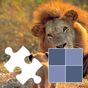 Animals Jigsaw Puzzles