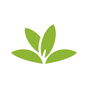 ikon PlantNet Pengenalan tumbuhan 