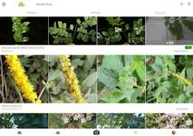 Tangkapan layar apk PlantNet Plant Identification 3