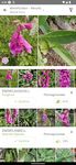 PlantNet Plant Identification zrzut z ekranu apk 10