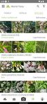 ภาพหน้าจอที่ 5 ของ PlantNet Plant Identification