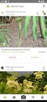 Tangkapan layar apk PlantNet Plant Identification 9