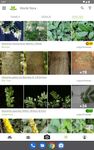 PlantNet Plant Identification zrzut z ekranu apk 6