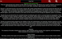 Captura de tela do apk Muscular System 3D (anatomia) 1