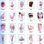 Learn Body Parts in English icon