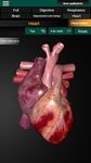 Órganos 3D (anatomía) captura de pantalla apk 13