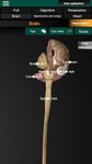 Órganos 3D (anatomía) captura de pantalla apk 10