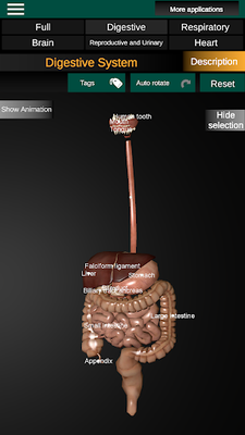 Androidの 3d内臓 解剖学 アプリ 3d内臓 解剖学 を無料ダウンロード