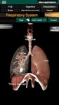 Screenshot 20 di Organi interni 3D (anatomia) apk