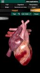 Screenshot 17 di Organi interni 3D (anatomia) apk
