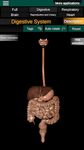 Órganos 3D (anatomía) captura de pantalla apk 20