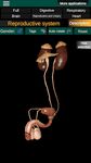Órganos 3D (anatomía) captura de pantalla apk 16