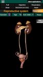 Órganos 3D (anatomía) captura de pantalla apk 15