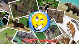 Animals for Kids, Planet Earth Animal Sounds Photo στιγμιότυπο apk 8