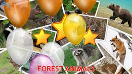Скриншот  APK-версии Животные для Малышей, Фото, Звуки Животных и Птиц